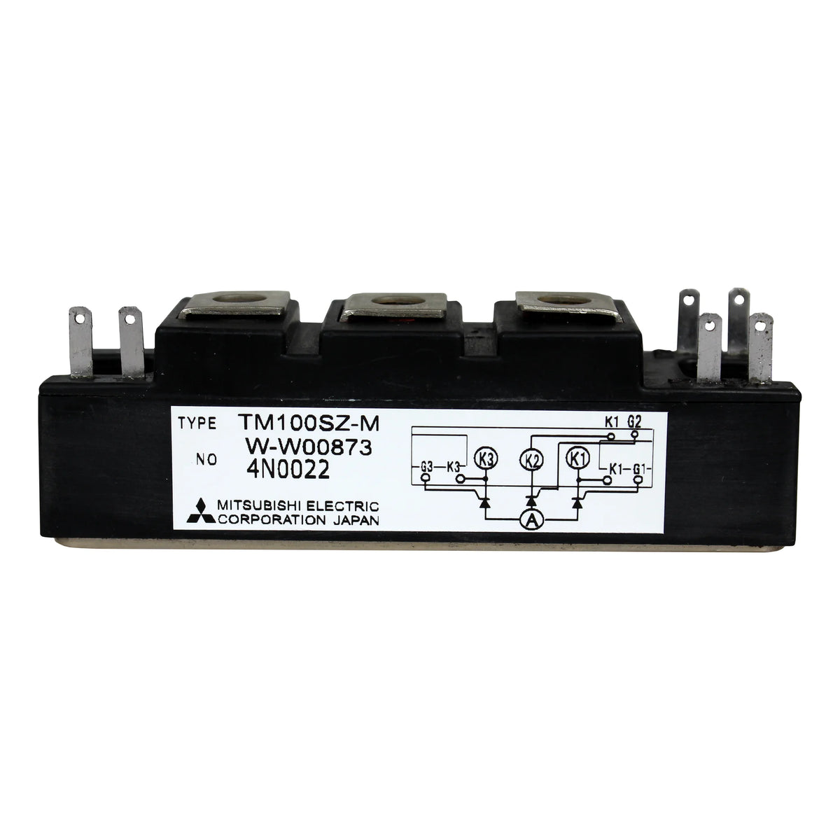 Mitsubishi TM100SZ-M Module