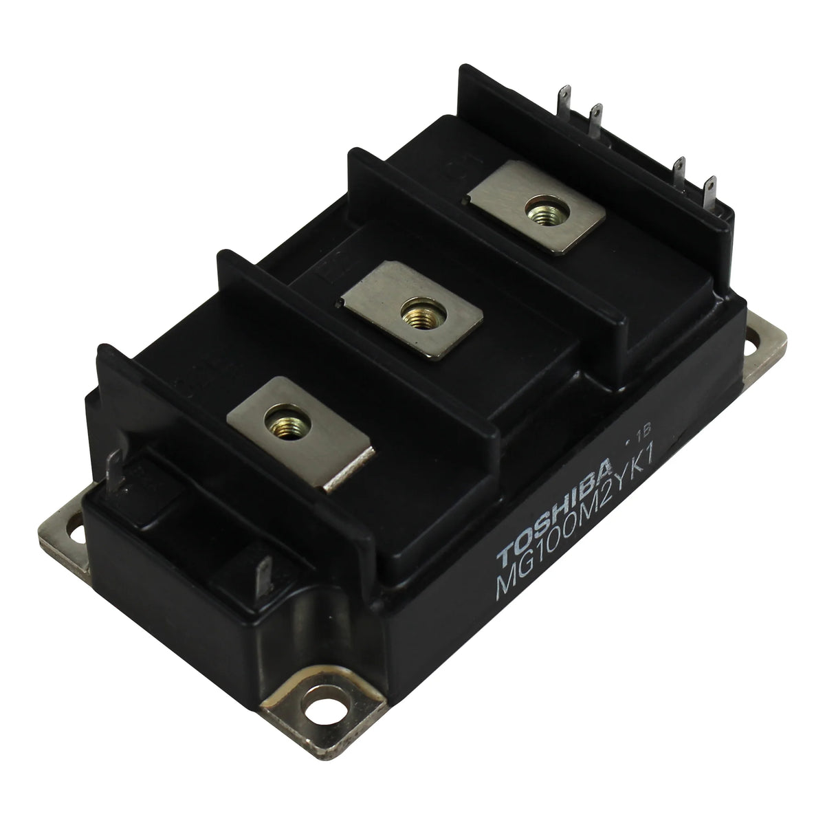 Toshiba MG100M2YK1 Module